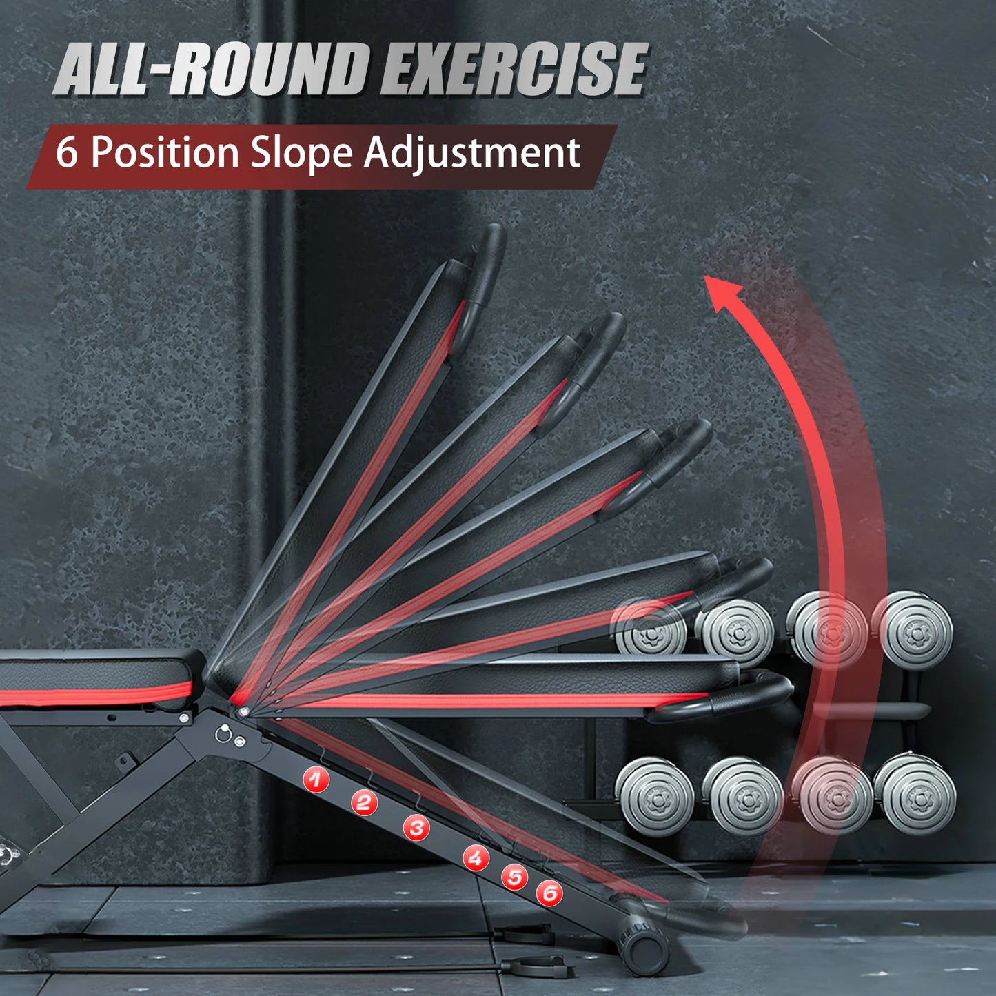 Weight Bench Foldable Full Body Workout