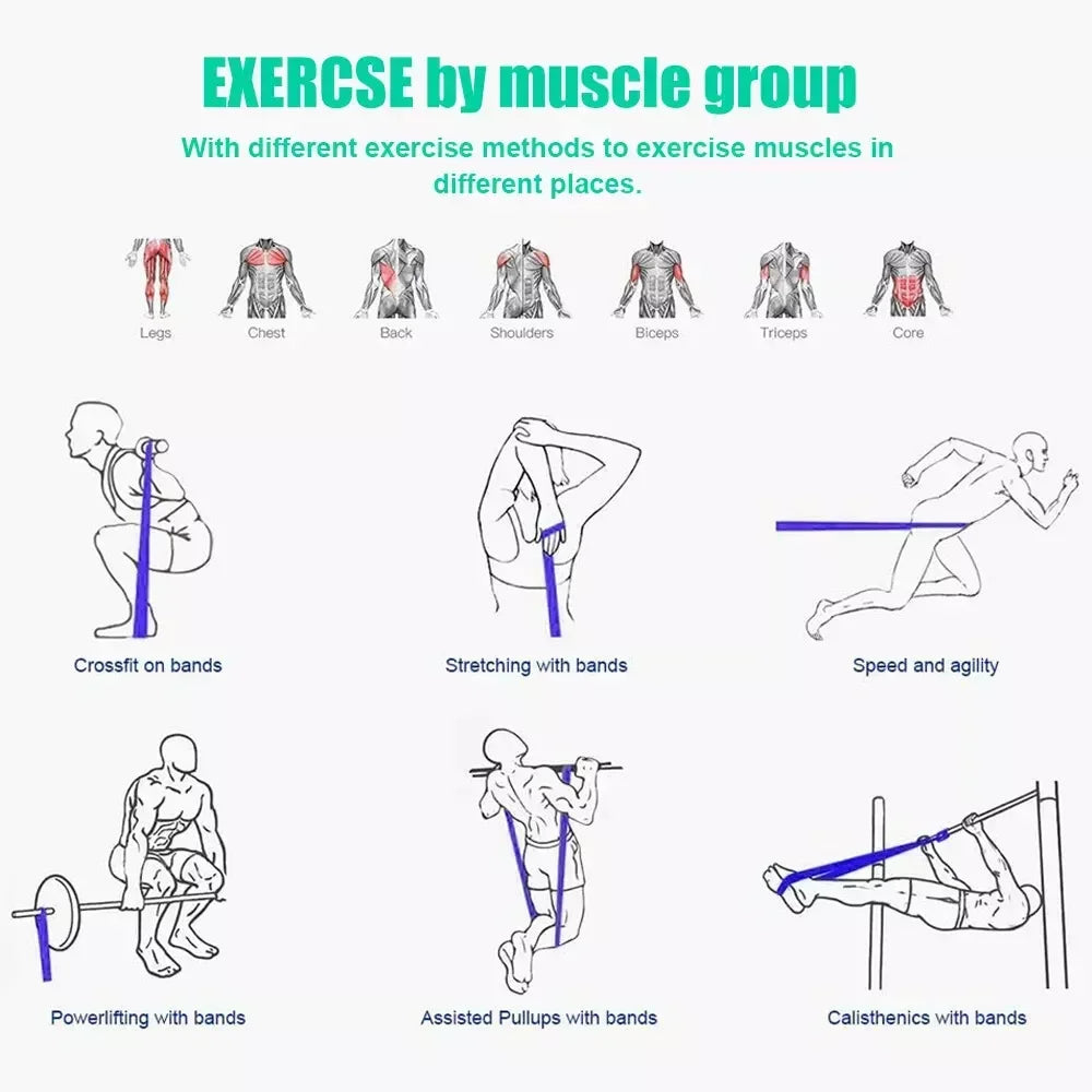 Gym Resistance Bands