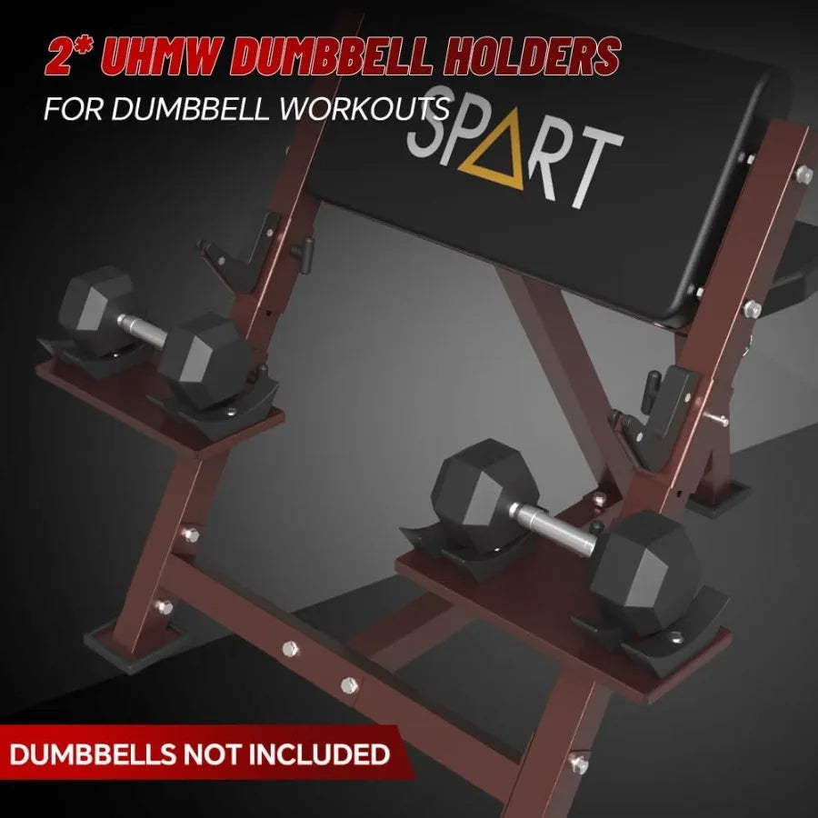Preacher Curl Bench with EZ Curl Bar