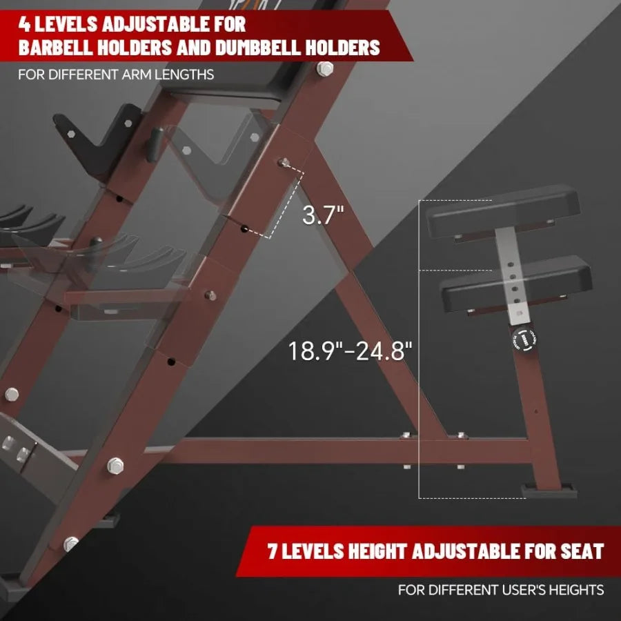 Preacher Curl Bench with EZ Curl Bar